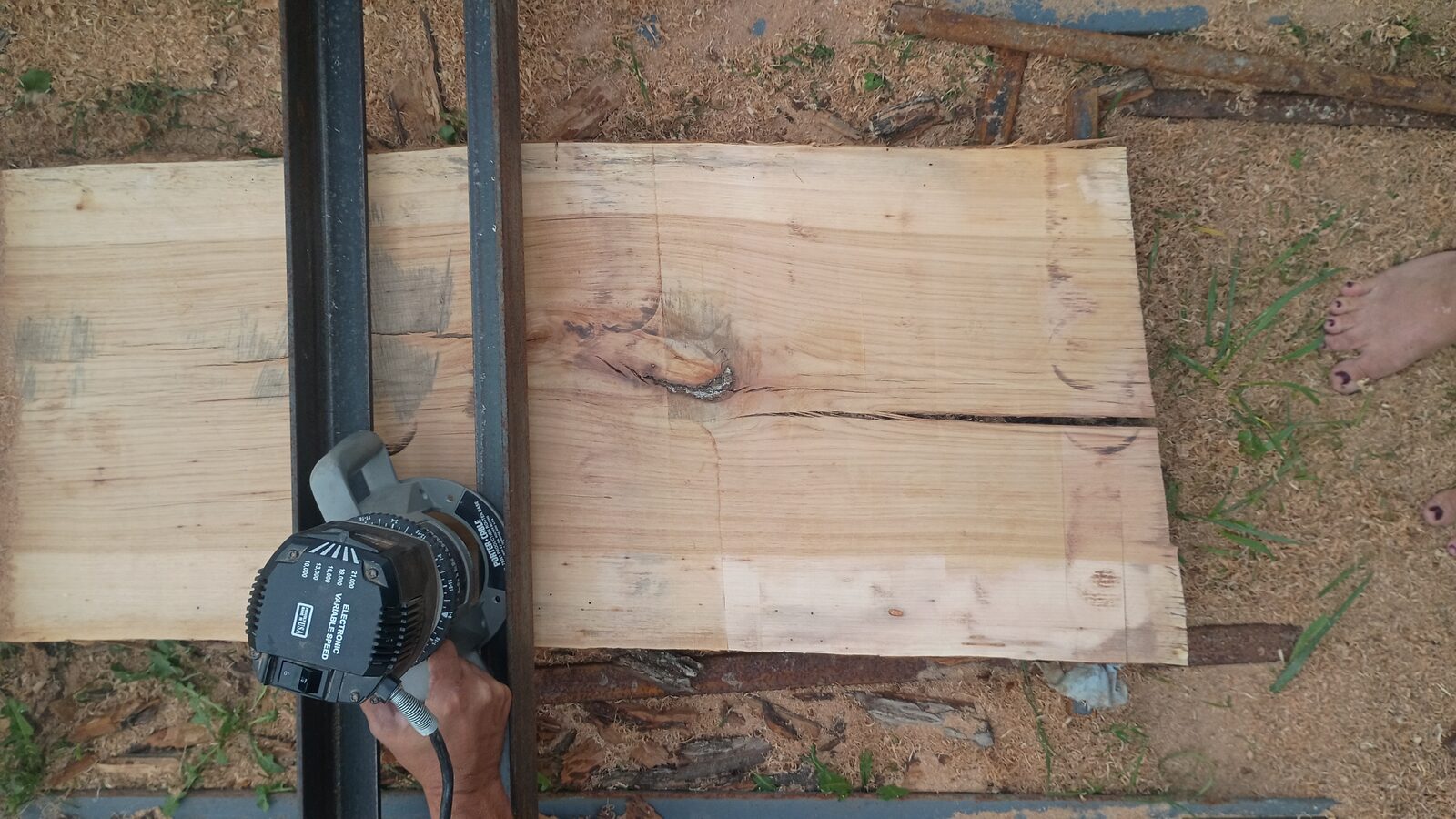 Top-down view of the pecan slab